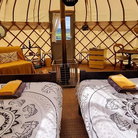 Bronfelen Yurt Hotel Cynghordy ภายนอก รูปภาพ