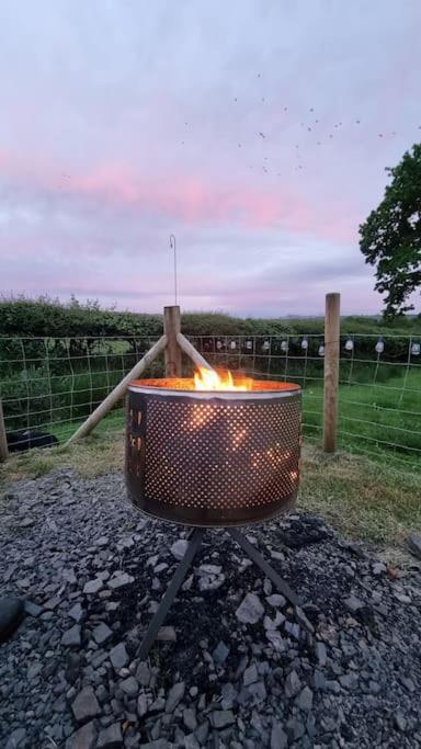 Bronfelen Yurt Hotel Cynghordy ภายนอก รูปภาพ