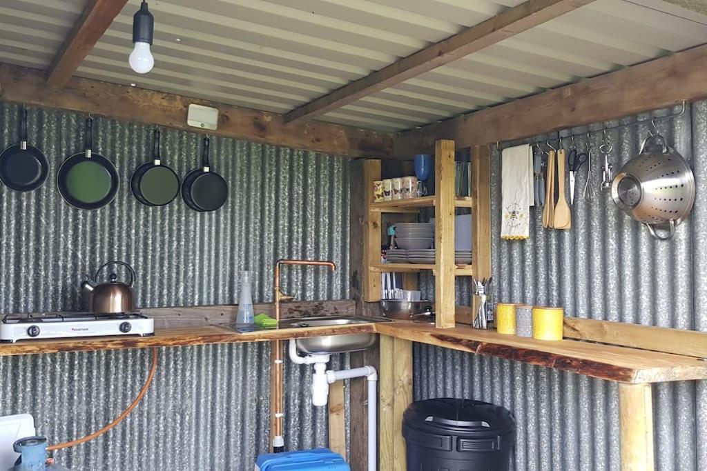 Bronfelen Yurt Hotel Cynghordy ภายนอก รูปภาพ