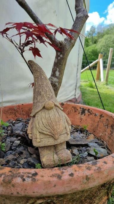 Bronfelen Yurt Hotel Cynghordy ภายนอก รูปภาพ